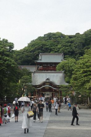 鶴岡八幡宮でやぶさめ練習中に落馬　男性が重傷　16日の神事中止