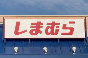 しまむらの「1969円トップス」ふわふわでカワイイ！2WAYで着回せて、秋冬コーデで大活躍です《購入レビュー》