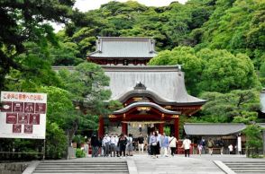 鶴岡八幡宮で流鏑馬練習の男性落馬