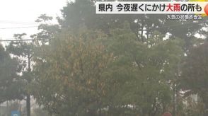 【山形】大気の状態不安定・県内は今夜遅くにかけ大雨の所も