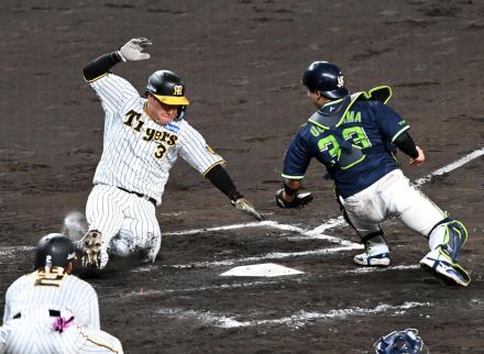 【阪神】大山悠輔激走ホームイン！…と思いきやリクエスト判定でアウトに、甲子園「え～～～！」