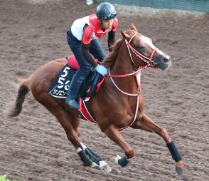 【ニエル賞】パリ大賞に続きソシエがＶ　凱旋門賞オッズも１番人気でシンエンペラーの強力なライバルに