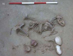 犬は冥界への案内人？ 北イタリアの約4,000年前の墓地から、馬や犬の骨が出土