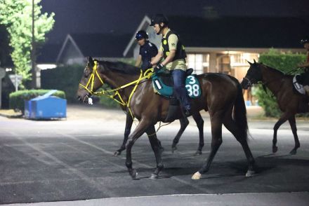 【今日の注目新馬】タヴァネスタン動きしっかり　父はダート向き、母系はスピードタイプ／中京4R