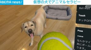 仮想の犬でアニマルセラピー 日本初の高齢者向けサービス登場