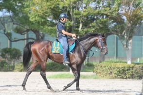 【今日の注目新馬】ベストシーン乗り込み豊富　母は桜花賞馬、半兄ドルチェモアの良血／中山5R