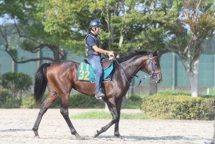 【今日の注目新馬】ベストシーン乗り込み豊富　母は桜花賞馬、半兄ドルチェモアの良血／中山5R