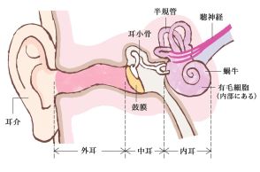 30代～50代に増えている難聴。自分でチェックする簡単な方法とは？【40代から増える「耳鳴り・難聴」に要注意！ ①】