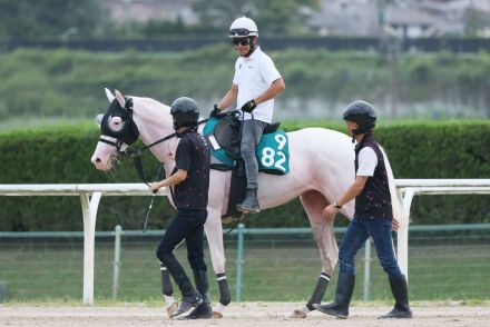 トレンド入りした「＃ゴージャスちゃん」、アイドルホース登場＆勝利にネットも歓喜「かわいくて強かった」