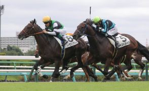 【中山５Ｒ・２歳新馬】伯母はリスグラシュー　レーヴブリリアントが差し切り　ルメール騎手「能力がありそう」