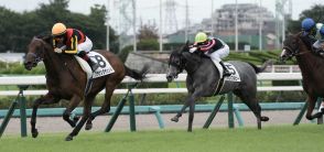 【中山6R・2歳新馬】良血ブラウンラチェットが正攻法の競馬でデビューV　半兄にはフォーエバーヤング