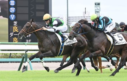 １番人気レーヴブリリアント首差Ｖ、ルメール騎手「まだ若いけど能力ありそう」／新馬戦