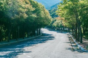 国立公園に渓谷で洗剤使って皿洗いしていた高齢者「ごみは全部拾っている」戸惑うその言い訳＝韓国