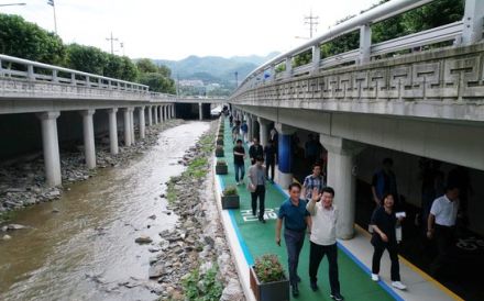 「ソウル冠岳山と漢江をつなぐ生態軸完成」…４年半ぶり道林川完全復元