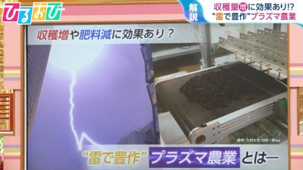 “雷”で豊作に!?『プラズマ農業』を研究者が解説「プラズマを使えば空気と水と電気だけで肥料に」【ひるおび】