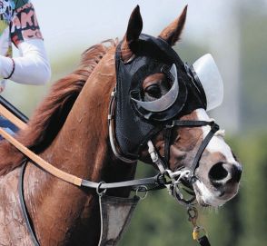 2番人気アーバンシックが重賞初勝利 コスモキュランダを外から差し切る【セントライト記念】