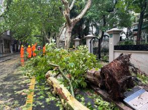 台風13号が中国・上海に上陸　航空便の運航などに影響