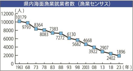 15年前の半数以下に　昨年１８９６人、和歌山県内海面漁業の就業者