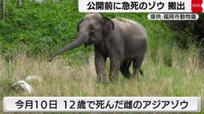 一般公開前に急死のアジアゾウを搬出　福岡市動物園