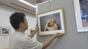 地域猫を撮る写真家2人の作品展　川柳やイラストも…「癒やしや励みに」　岡山市