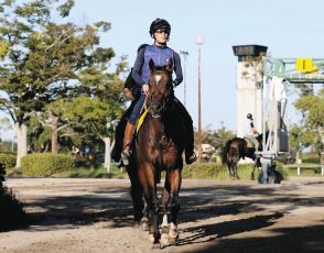 レーベンスティール、”馬肥ゆる秋”たくましく成長した姿で古馬王道路線に参戦だ【オールカマー】