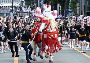 駆ける飾り馬「ドーカイ、ドーカイ」、 熊本・藤崎八番宮例大祭