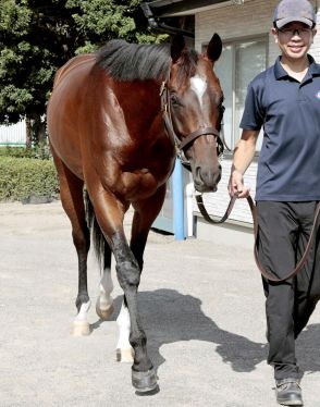 【オールカマー・松末の特注馬】素質馬レーベンスティールは成長著しい　田中博調教師「バランスが良くなった」