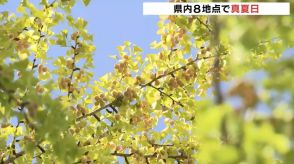 イチョウの木に銀杏実り秋の訪れ感じるも…富山県内8地点で真夏日