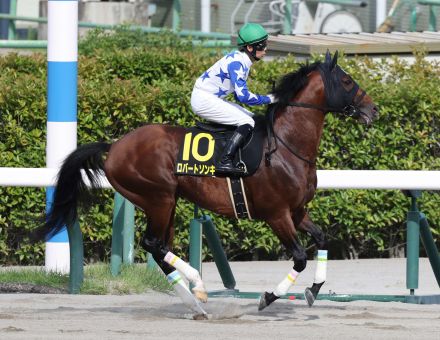 １年６カ月の長期休養から復帰２戦目…ロバートソンキーは「馬体絞れてきた」／オールカマー