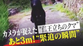 目の前3m!カメラが捉えた“仁王立ちのクマ” 緊迫の動画終了後に何が起きていたのか?新聞配達員と近隣住民が体験した恐怖