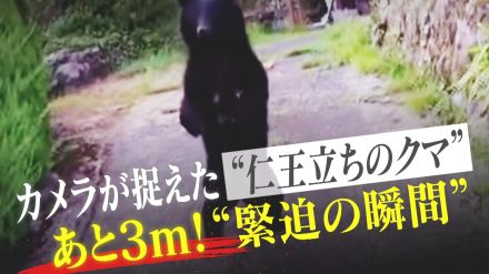 目の前3m!カメラが捉えた“仁王立ちのクマ” 緊迫の動画終了後に何が起きていたのか?新聞配達員と近隣住民が体験した恐怖