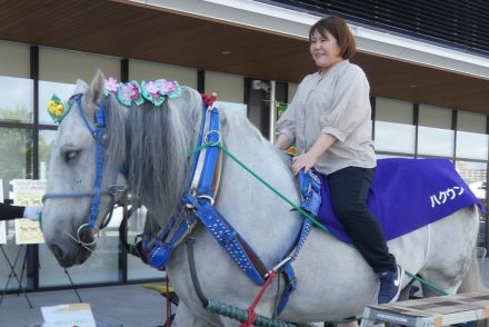 ばんえい競馬の魅力をアピール！「ばんえい十勝ｉｎＮＡＧＯＹＡ２０２４」が開催　約９００キロのばん馬も登場