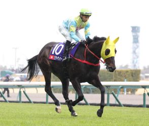 【スプリンターズＳ】香港馬２頭が競馬学校国際厩舎に到着　輸入検疫のため