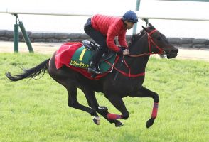 【スプリンターズS】香港馬ビクターザウィナーとムゲンが来日　JRA競馬学校で検疫入り