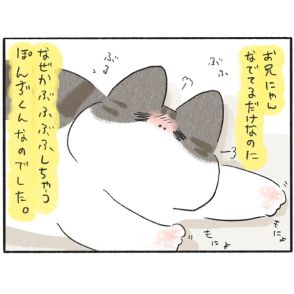 【猫あるある】あなたの幸せは私の幸せ… 撫でられている兄猫の気持ちになっちゃう弟猫【作者に聞いた】