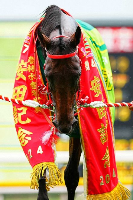 香港馬ロマンチックウォリアーにサウジ、ドバイ遠征プラン