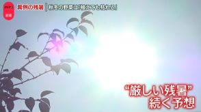 9月中旬に異例の残暑…いつまで？　野菜にも影響「植えても枯れてしまう」