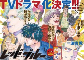 ＜レッドブルー＞「サンデー」総合格闘技マンガが実写ドラマ化　日陰者がMMA甲子園に参戦！