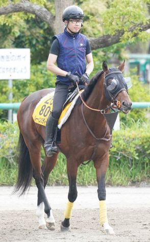 【オールカマー】レーベンスティール　馬体の充実実感、陣営「順調に調教ができている」