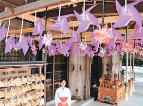 厳しい残暑に癒やし　南砺・高瀬神社、本殿や手水舎に風車