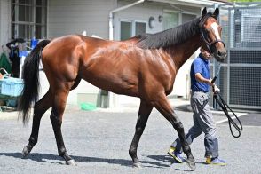 【神戸新聞杯・先手必勝】無念のダービー取り消しを乗り越えて　あるぞ！メイショウタバルが圧巻の毎日杯を再現へ