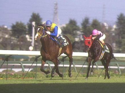 90年代の日本競馬支えた種牡馬御三家 “東京コースの鬼”トニービンとは