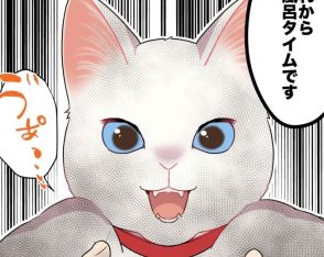 【ねこ漫画】白猫が黒猫になったワケは？猫あるある！“戦慄のお風呂タイム”に共感の声【作者に聞く】