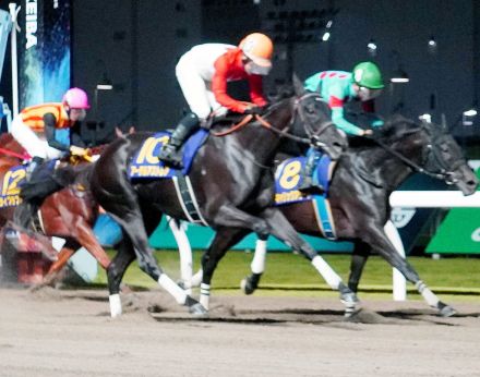 【注目馬動向】アーテルアストレアは武豊騎手でレディスプレリュード連覇に挑む　主戦の菱田裕二騎手が負傷のため