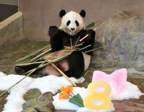 パンダの「結浜」８歳の誕生日を祝う　和歌山県白浜町