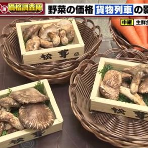 北海道産のタマネギ1袋の仕入れ価格は先週比で-25円　JR貨物の検査不正が今後の野菜価格に影響か