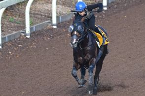 【オールカマー追い切り】ロバートソンキーは伊藤を背に気合注入　林徹調教師「今までで一番負荷をかけられた」