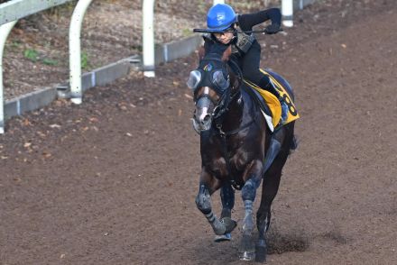 【オールカマー追い切り】ロバートソンキーは伊藤を背に気合注入　林徹調教師「今までで一番負荷をかけられた」