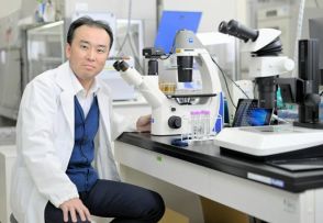 慶応医学賞に斎藤通紀さんら　iPS細胞から精子や卵子をつくる研究