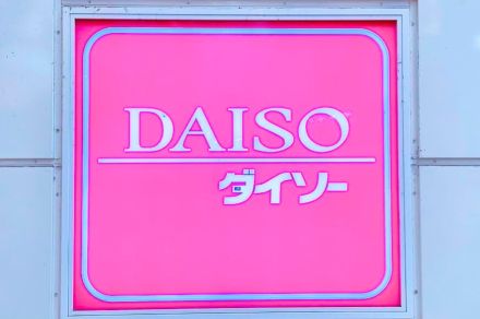 【ダイソー】家中で使えて便利！小物がまるっと片付く「収納グッズ」3選《購入レビュー》